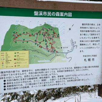 盤渓市民の森はきれいに整備されていました