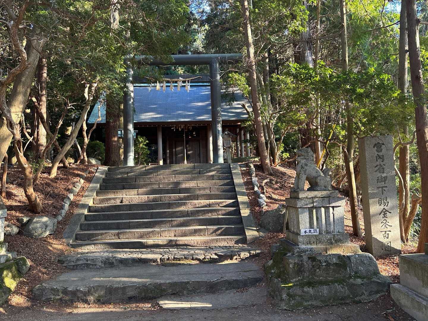 千早本道登山口-金剛山 往復コースの写真