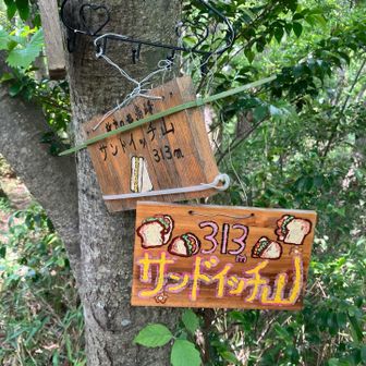サンドイッチ山⛰️山頂