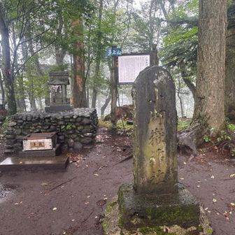 天上山ピーク