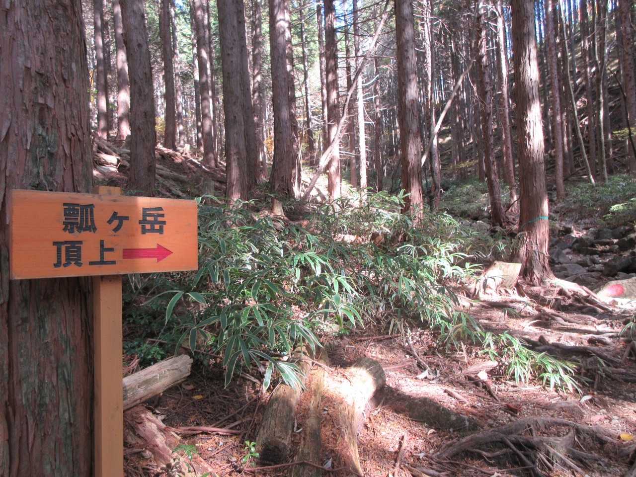 瓢ヶ岳 往復コースの写真