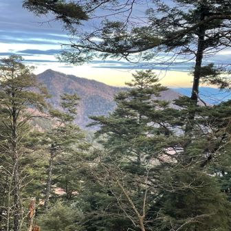 昨日歩いた芋の木ドッケから長沢背稜を眺めつつ
反対側には奥多摩湖から相模湖か、南側の大自然が広がっていた
強風が容赦なく吹きつけ、私の体温を奪おうとし、周辺の樹々を揺らす。ぎいいぃぃという気の軋む音や葉の擦れ合う音が、まるで下手なバイオリン弾きみたいだなって思った。