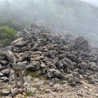 やっと分岐
ここからは割と平坦