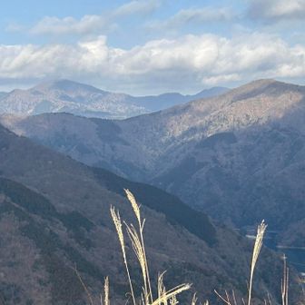 西丹沢　菰釣山？