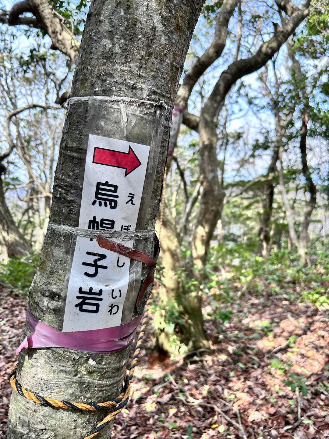 会いに行きますよ🪨
