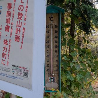 8℃
