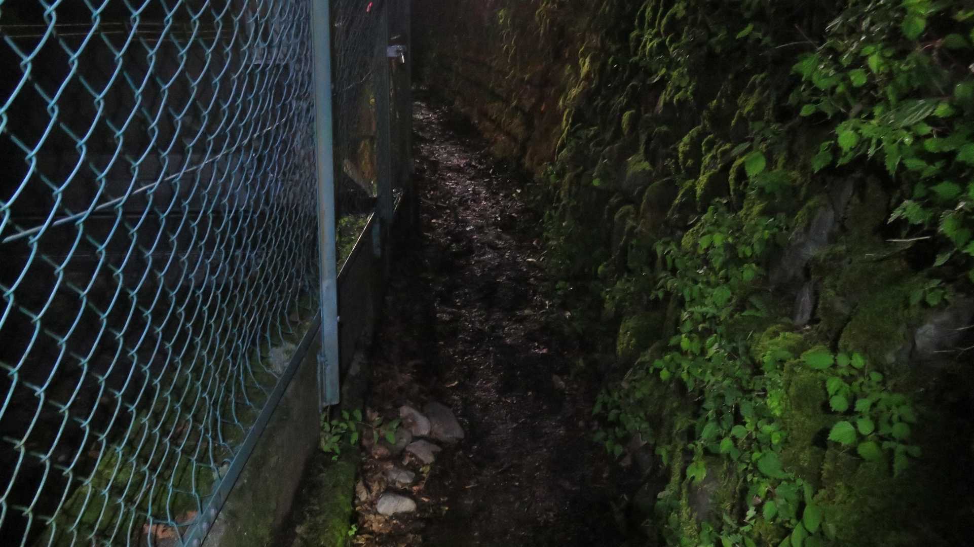 ここのドロドロポイントは乾いてた。