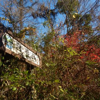 吾妻峡ドレミファ橋