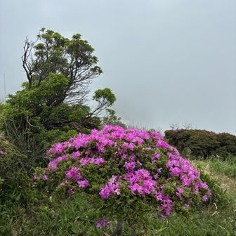 いいとこ撮り