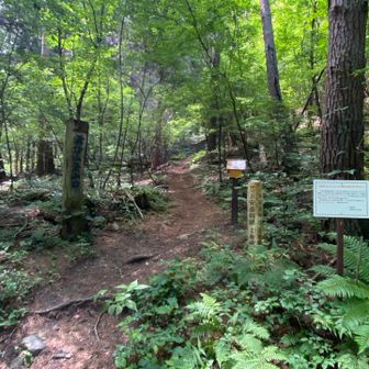車道を10分歩いて登山口