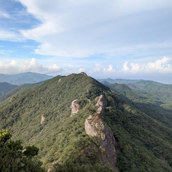 屋久島のような原生林と岩