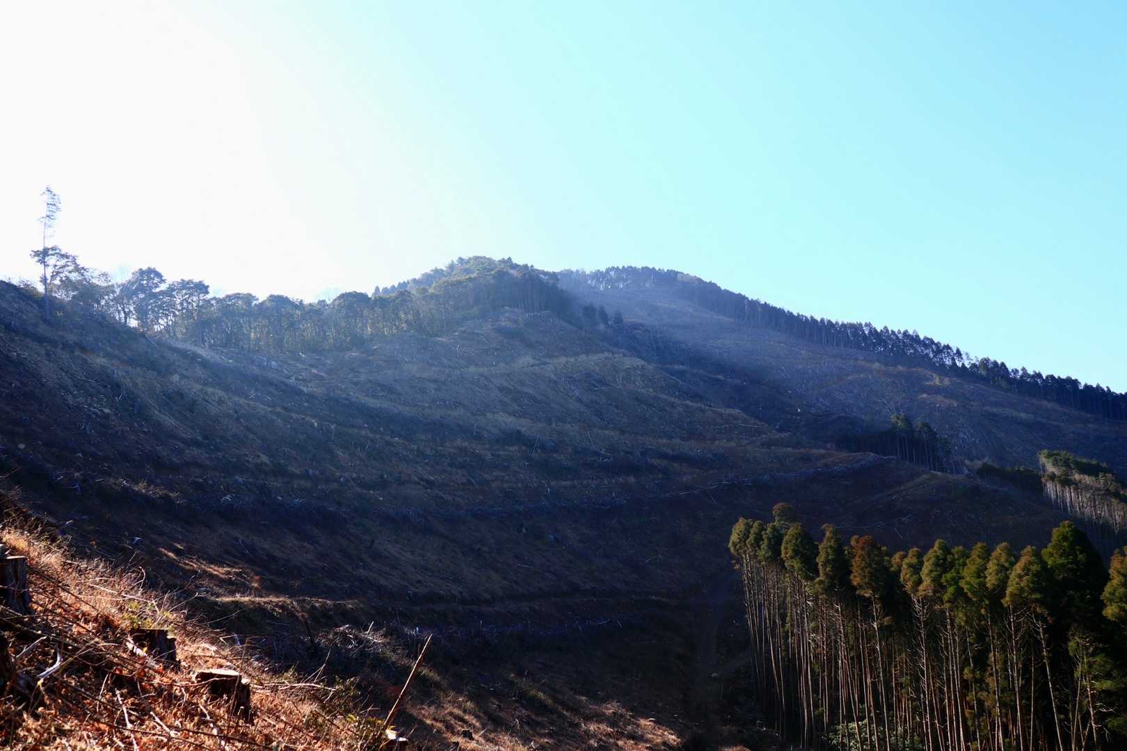 じゃ、伐採でステキな眺めになった本宮山をあとにします…。ありがとうございました…。