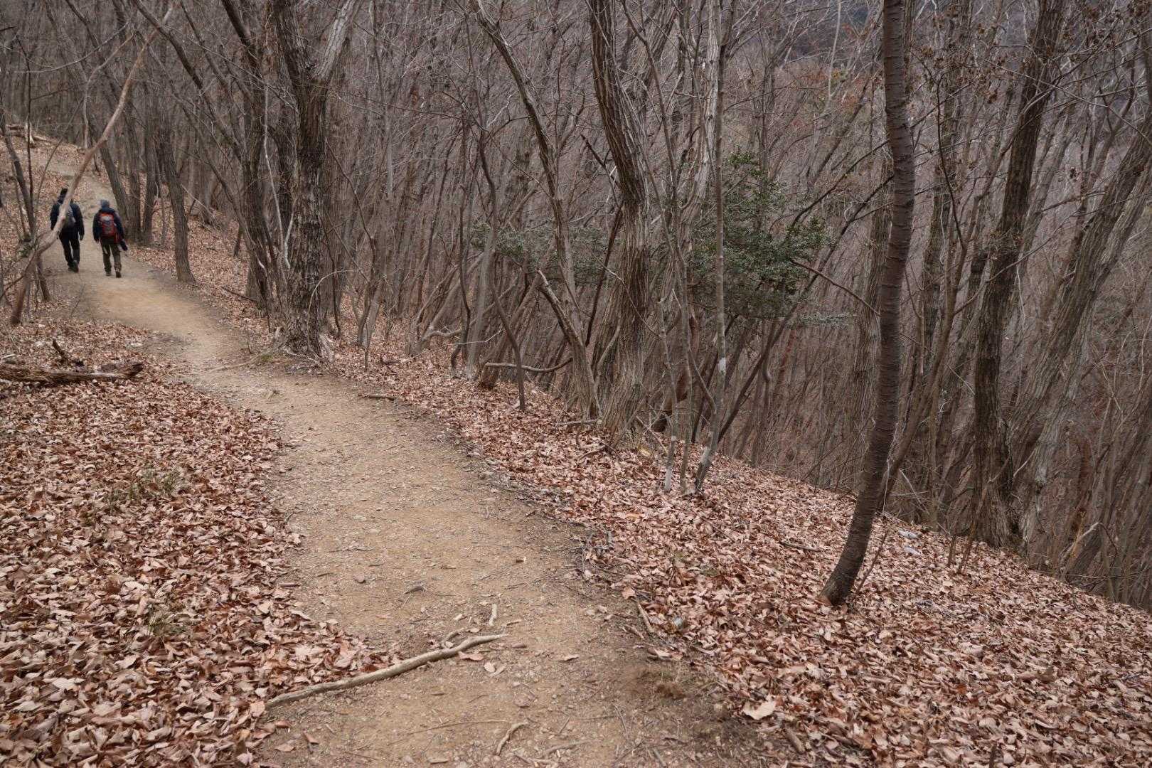 気持ちの良い道
