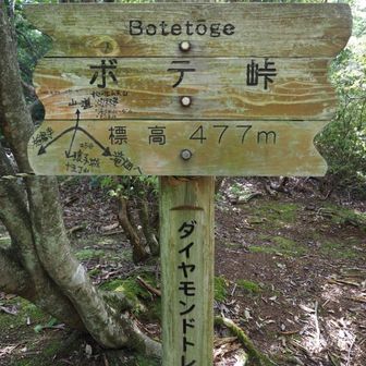 荒れた急坂を下ってポテ峠へ👣

なんかポテ峠という名前が可愛く思える💕

名前の由来が気になり調べたけど不明でした