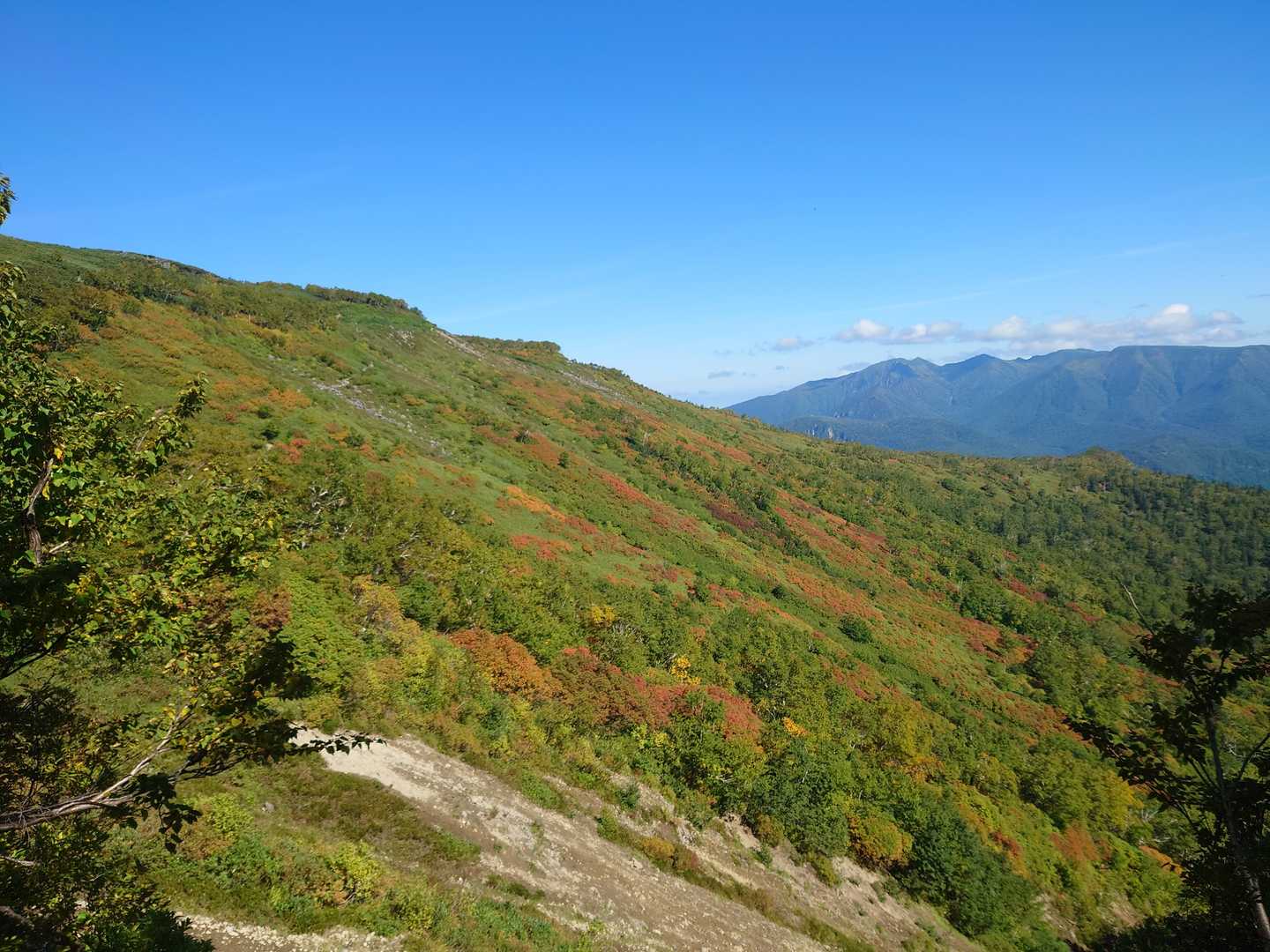 銀泉台発着｜赤岳登山口・第一花園 往復コースの写真