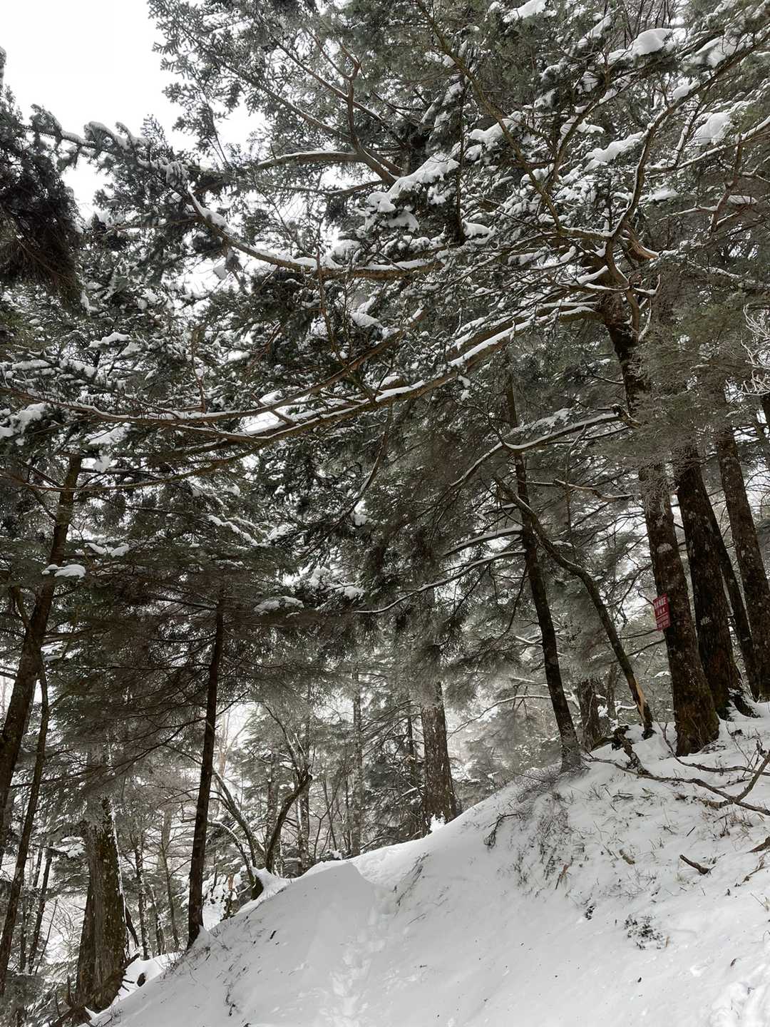 部長がショートカットして、尾根歩きを❗️
地獄の雪行の始まりデス😭 
