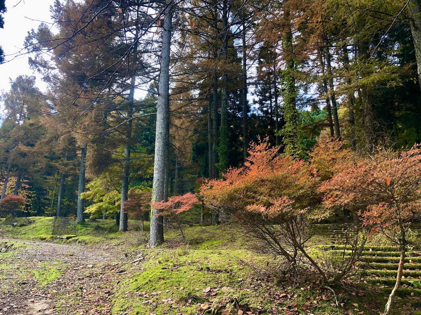 お久しぶりです^ ^
風呂塔　元キャンプ場
いい感じ😌