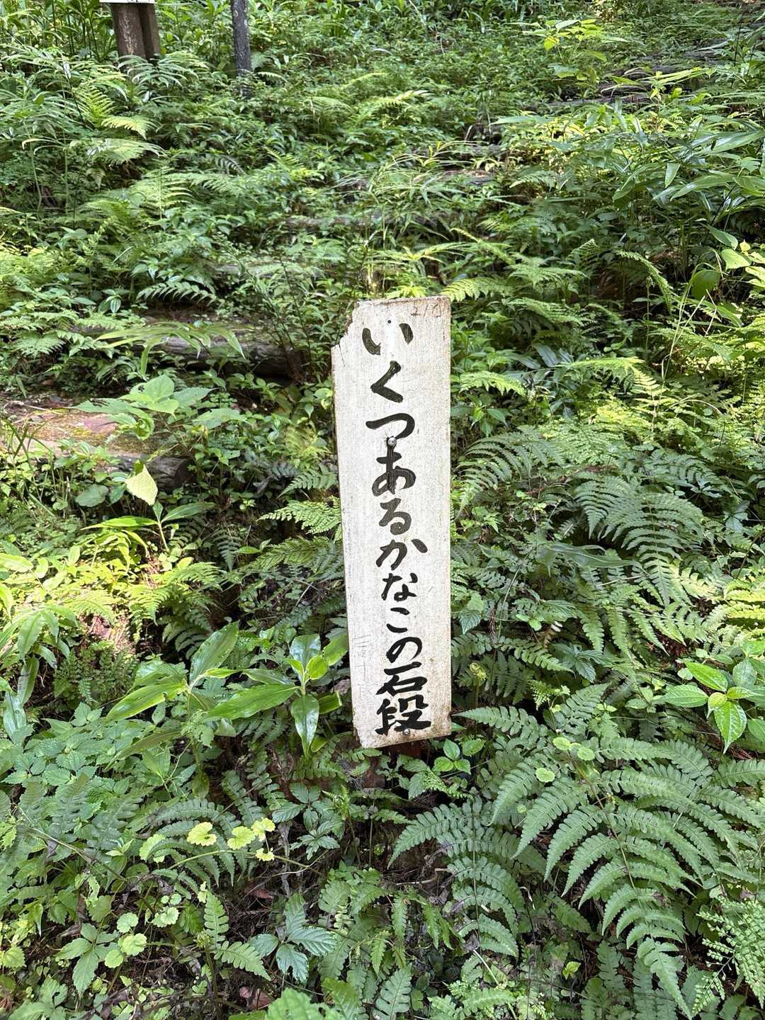 石段は木の階段に新調されていましたが
娘が数えながら登ります