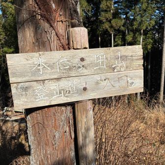 大根山の神まで降りてきました