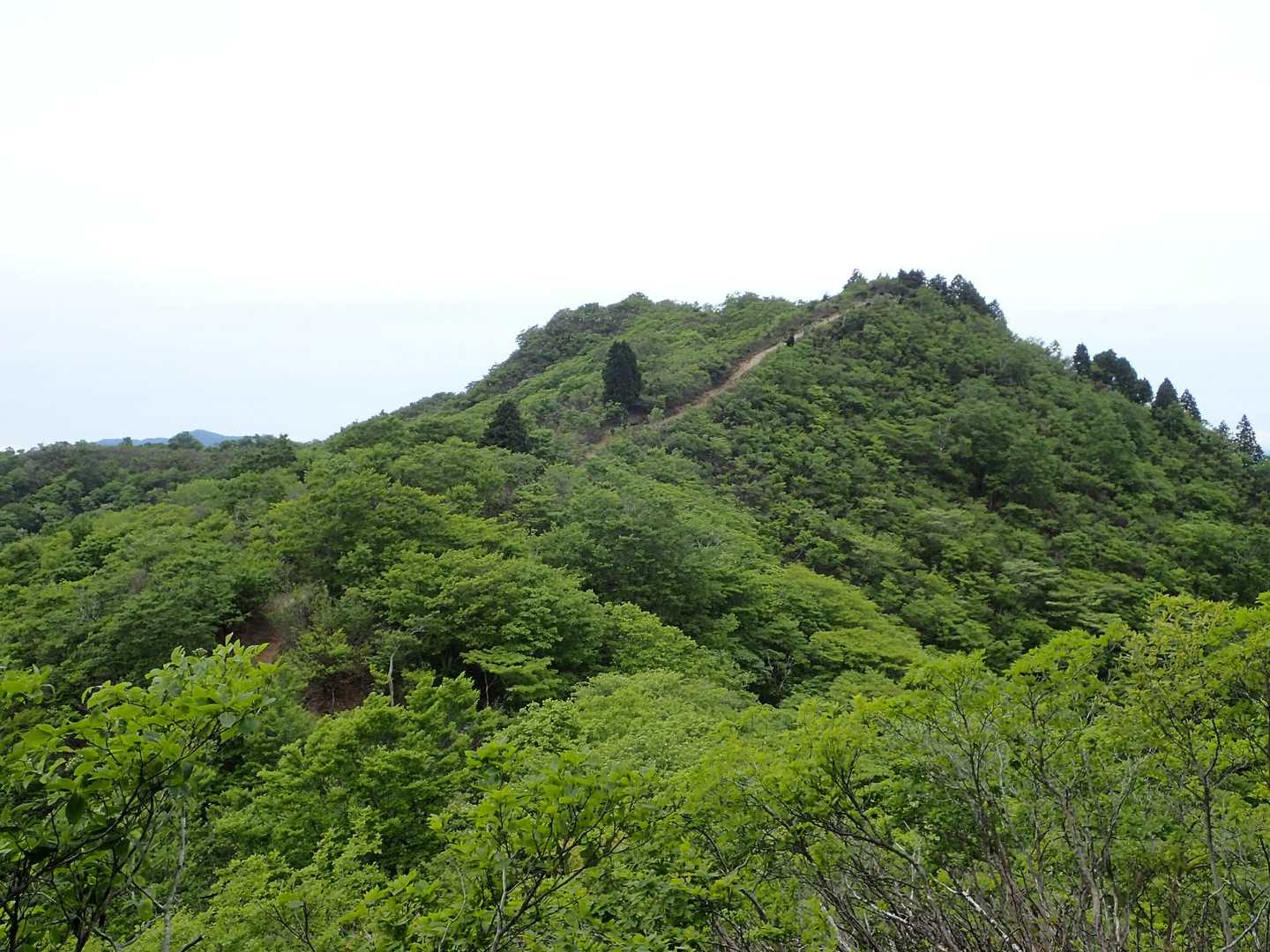 登り返しましょう♪