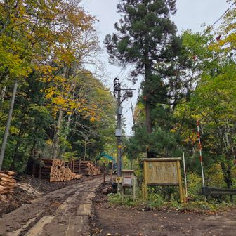 登山口。
重機も入り伐採作業をされているため最初少しだけドロドロの道を歩きます
