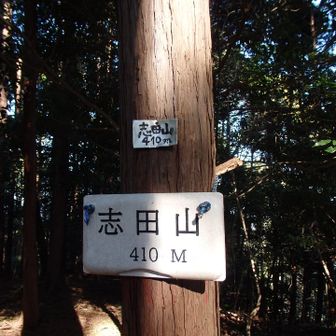 志田山に着地。手製の山名板が取り付けられている。