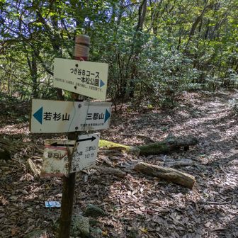 三郡山に行くか、前砥石山に行くか…結局三郡山に行ってみることに。