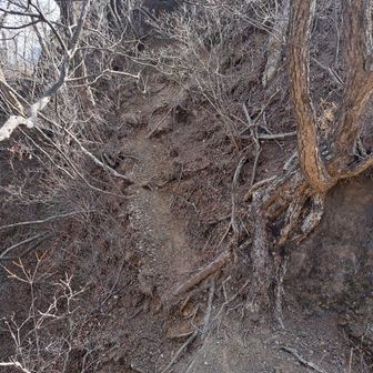 ここ登れますが、先にルートなし、どん詰まりで、無理すると危ない