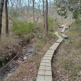 葦毛湿原に到着