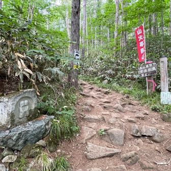 ここからは平坦な道へ😮‍💨　脚ガクガク