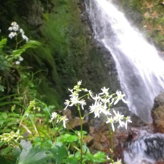 登山口を間違えて、登った先に滝があることを発見💡せっかくだからマイナスイオンに癒されました😌