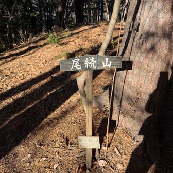 一座目尾続山到着。