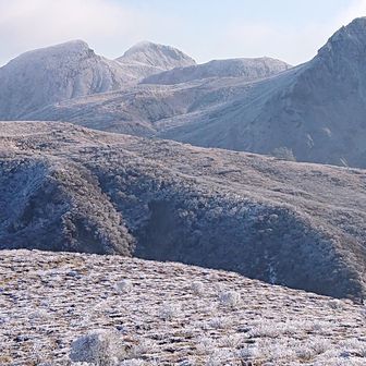 扇ヶ鼻より、久住のスターたち。