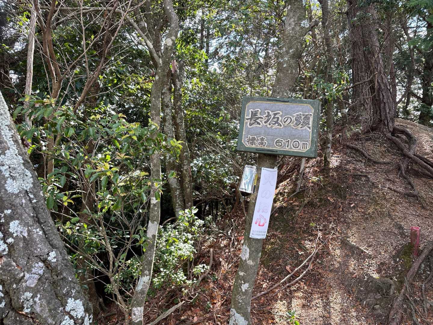 長坂の頭山頂