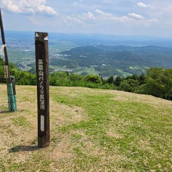 山頂広場芝生が気持ち良いです。