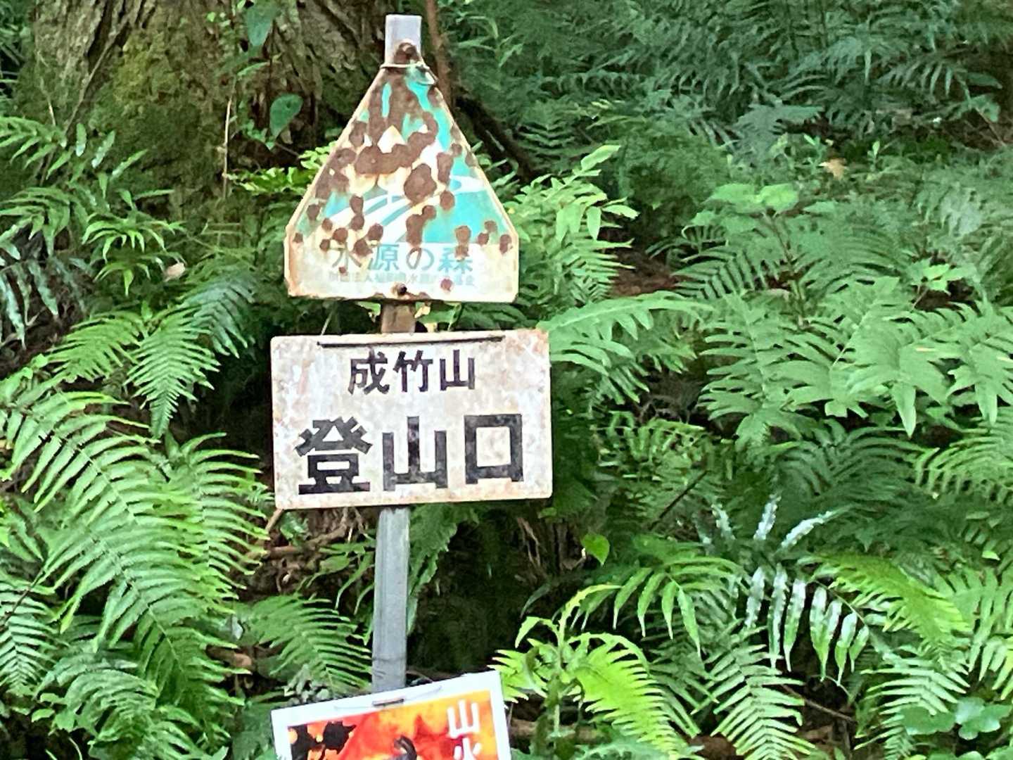 朝食前に成竹山へ

約2ヶ月振りの普通の登山
日頃から登りはキツイと思っているのに、久々だと急登無いのにキツかった😭
