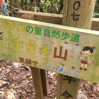 ホタル山
鳥川と言えば、ホタルだね！