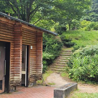 トイレ（と提出箱）の横に登山口。さあて、登りますか。