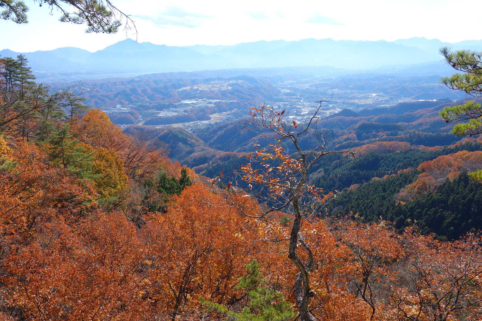 向こうに武甲山も見える！！今年、初春登ったなあ。