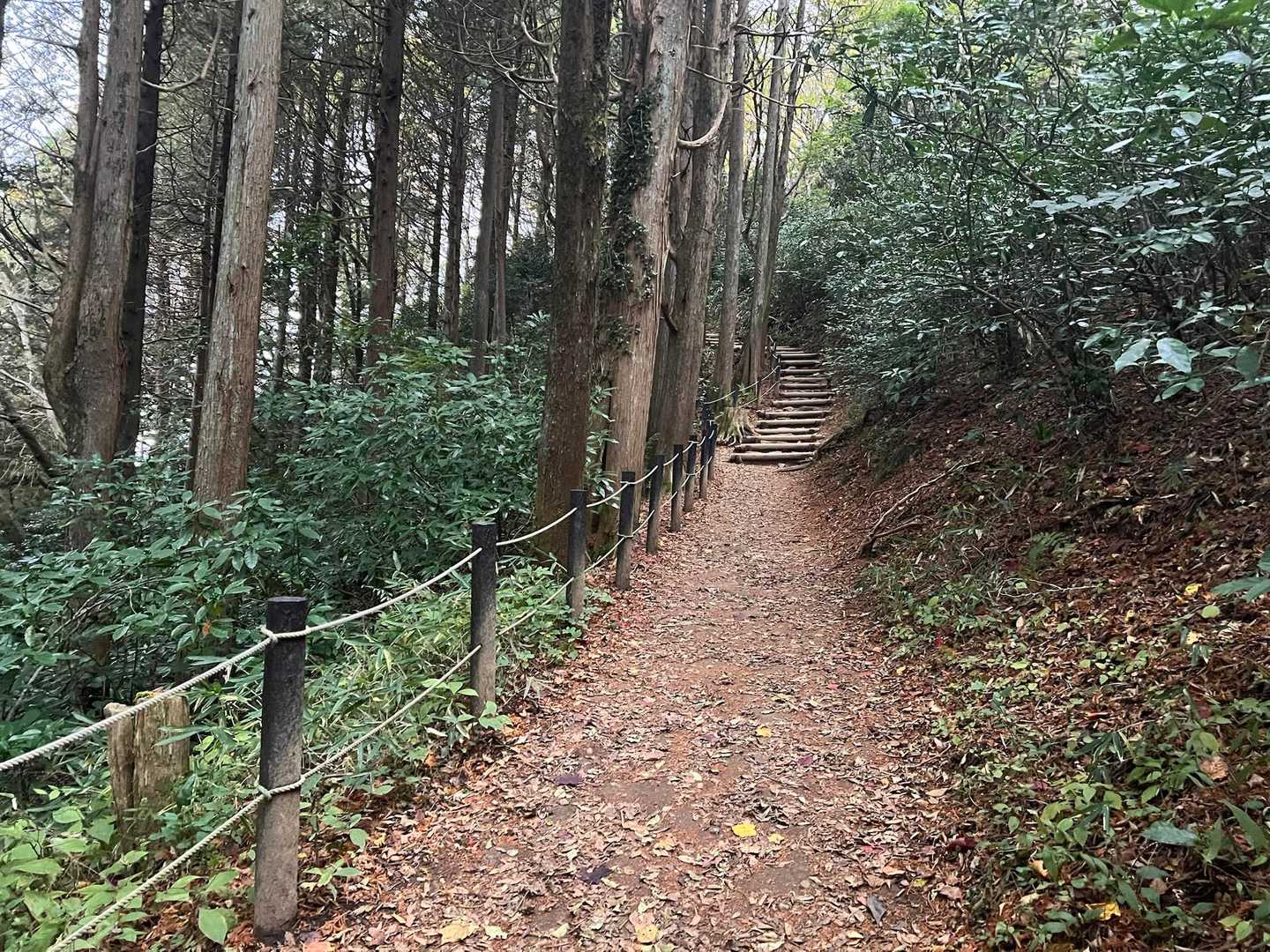 さすが百名山、人気観光地
歩きやすい道がつづく