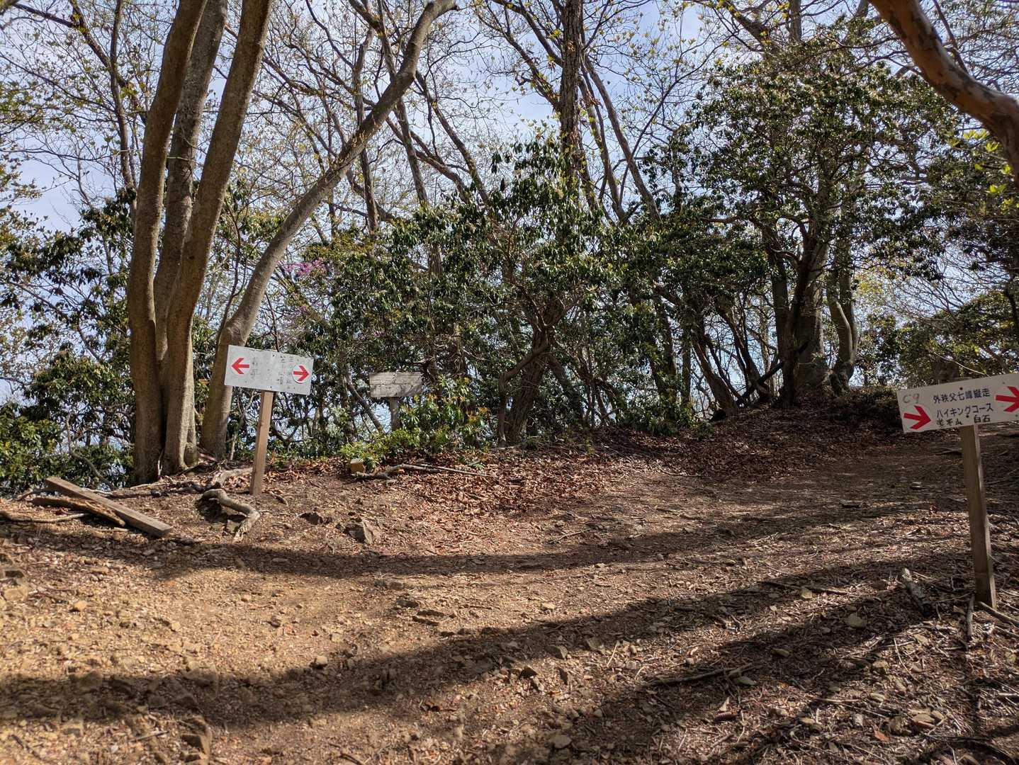 皆谷バス停から行くよりも速く来れたし楽だった
いつもハァーハァーア"ーア"ー言いながら登ってたので😅