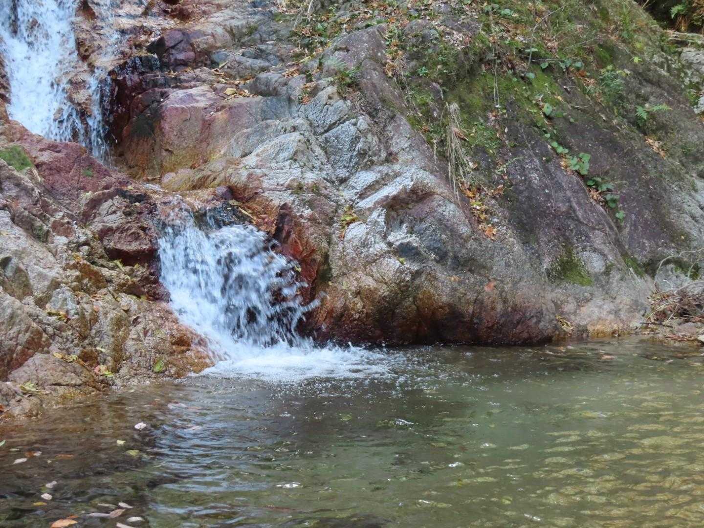 きてよかった〜❣️