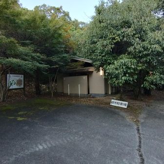 駐車場にトイレがあります🚾