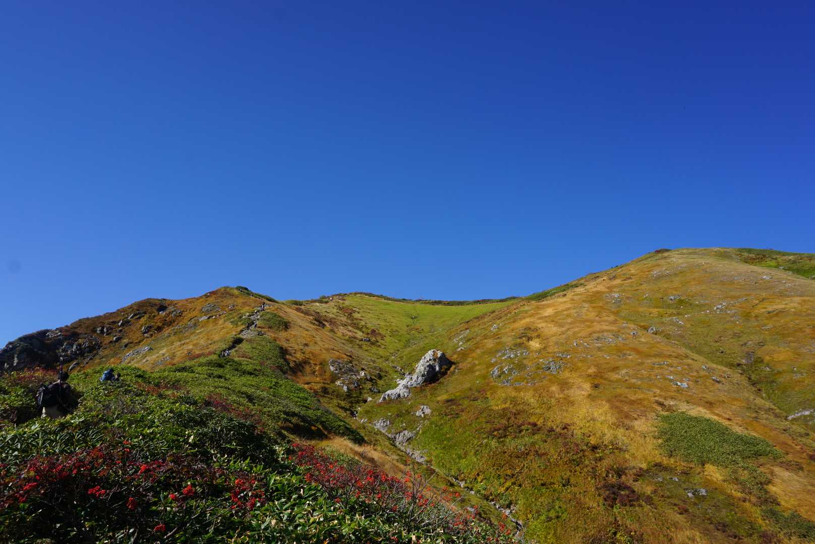 駒ヶ岳登山口-小倉山-百草ノ池-越後駒ヶ岳 往復コースの写真
