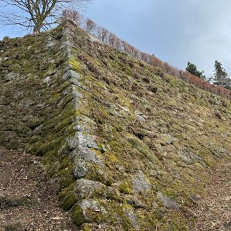 女道から上がってきたら、ご覧いただけます