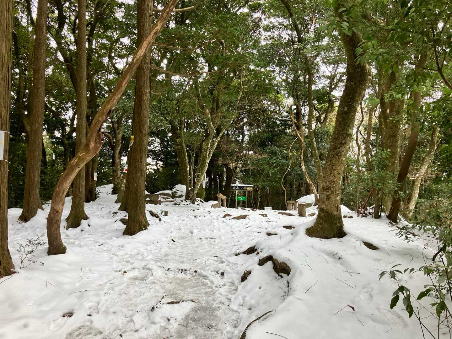 油山山頂
たくさんの登山者がいましたが
皆さんチェーンスパイク無し❗️