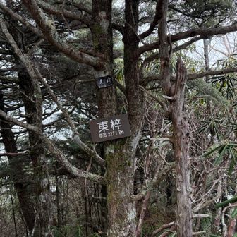 ここなんとか巻けませんかね