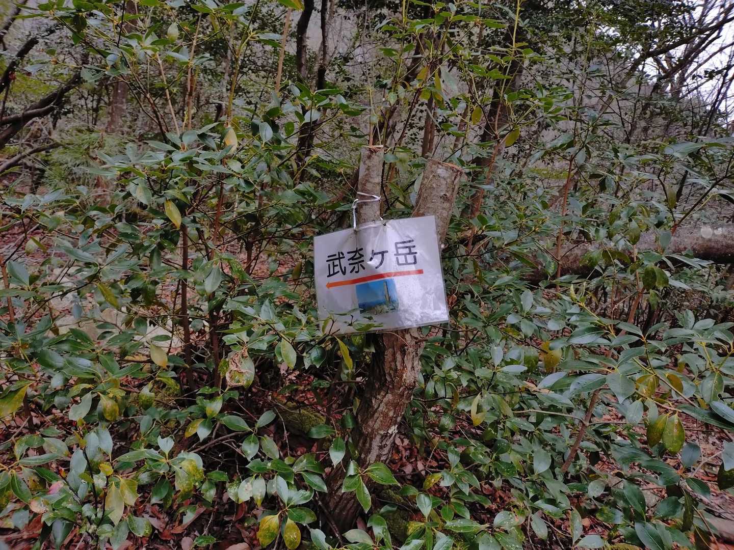 登山口まで戻ってきました。
こっち行けば武奈ヶ岳。
遠そうやな〜😅
でも行けるのならいつか😏