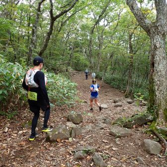 水神をトレイルランナーが駆けていく