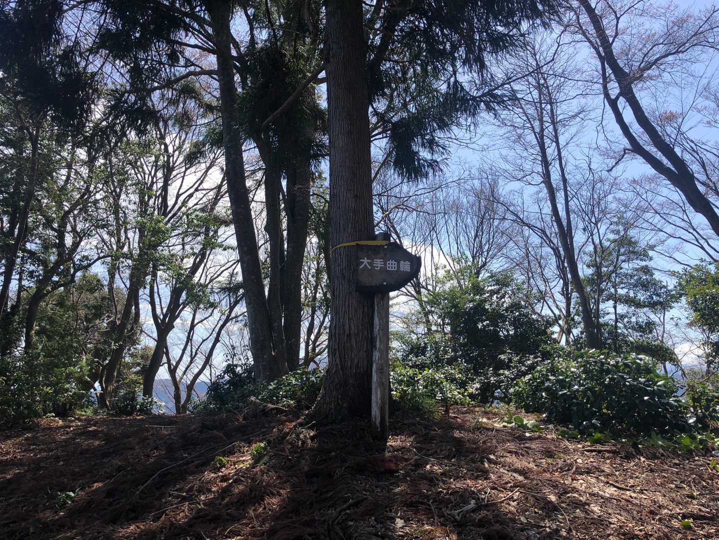 菩提山 往復コースの写真